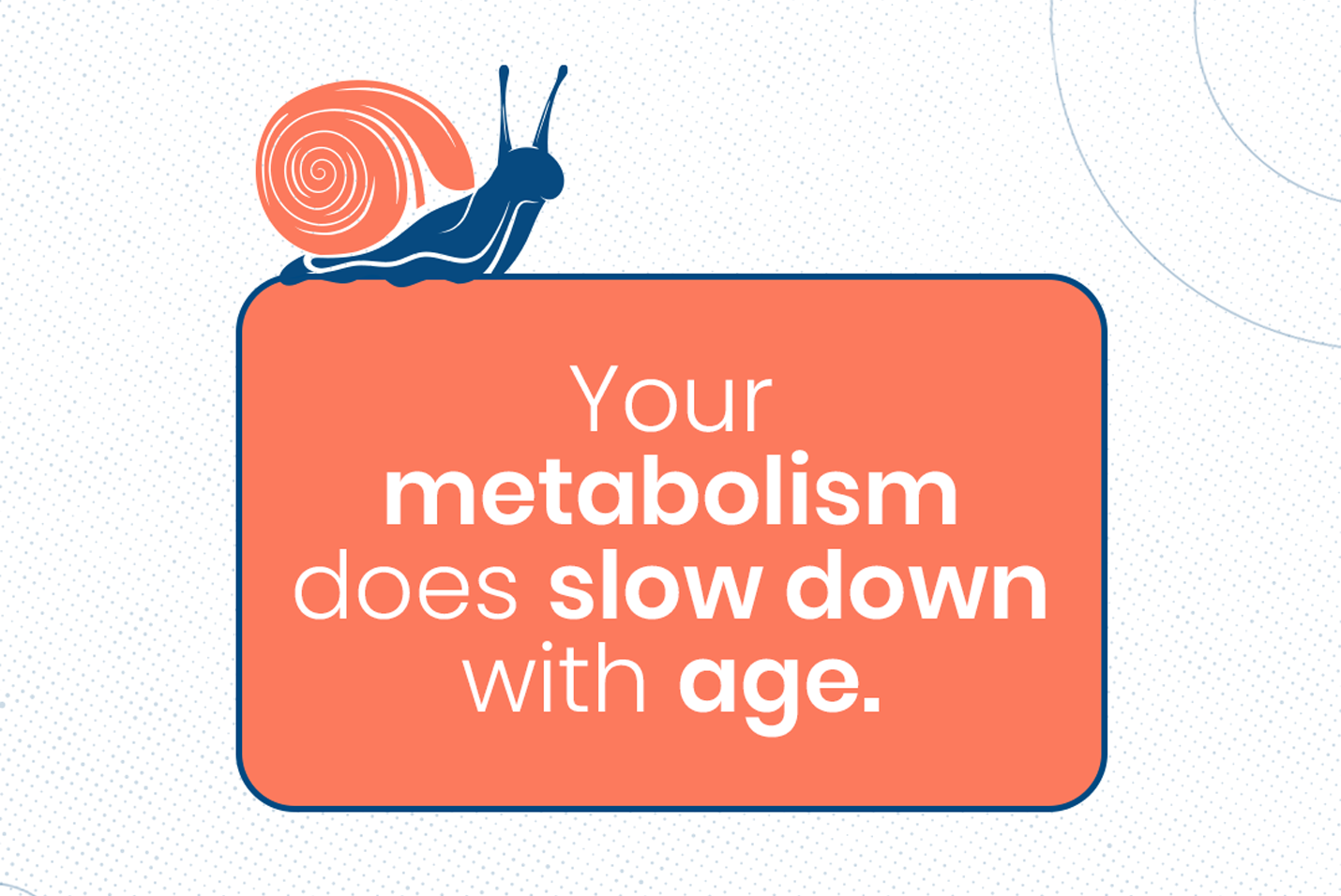 HOW TO INCREASE METABOLISM AFTER 65